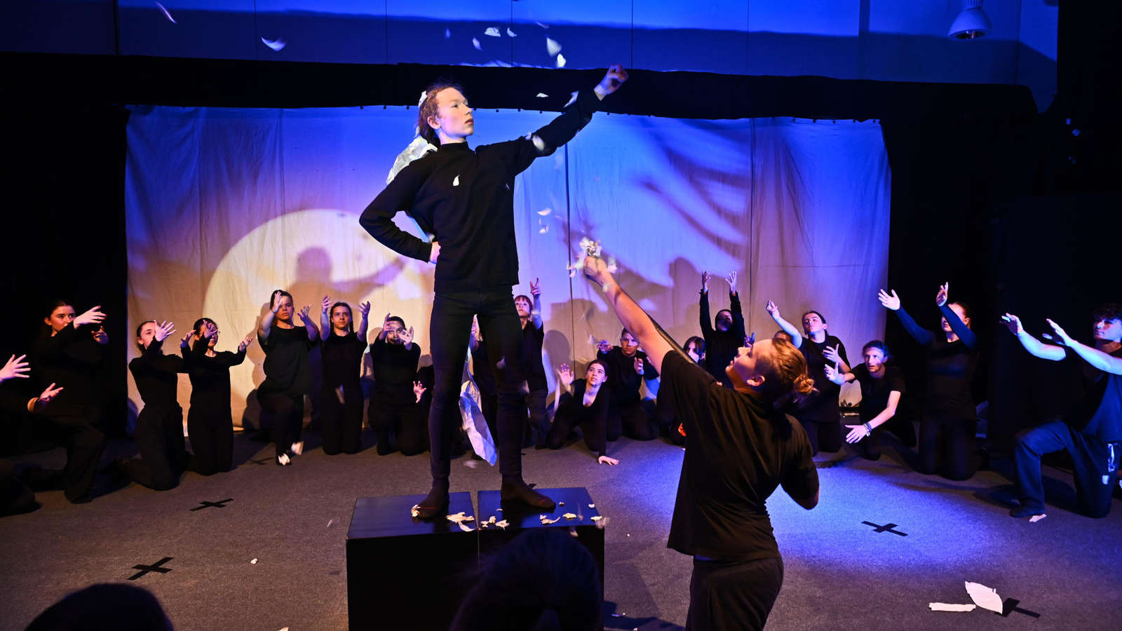 78646502 FF72 44D8 A265 BDFEC9DDBB10