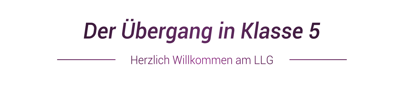 Unsere Einstiegsprofile