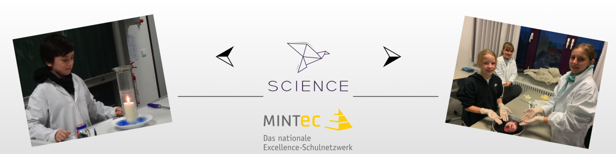 Das Einstiegsprofil "Science"